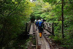 [2016年] 屋久島